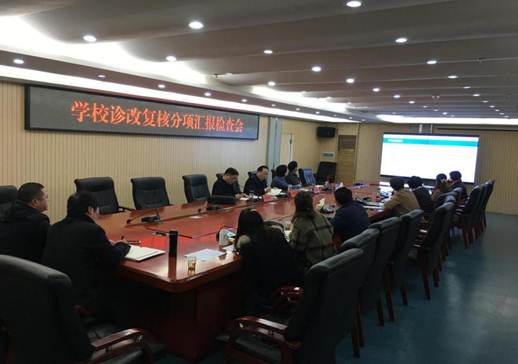2019.3.10半岛平台召开诊改复核分项汇报检查会